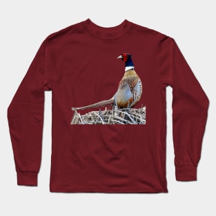 Ring-necked Pheasant Photo Long Sleeve T-Shirt